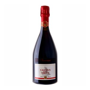 TRENTASEI, CANTINA DELLA VOLTA