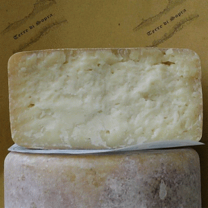 Formaggio Pecorino “Ad Vìla” ( appennino reggiano )